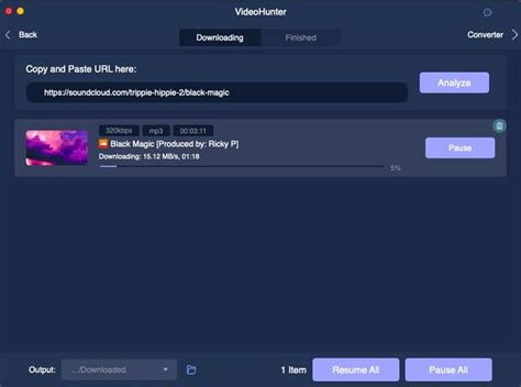 Free VideoHunter Download